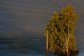 Никуда стих