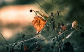 Стих кому ты нужен