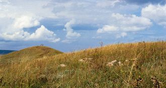 Стих мой край