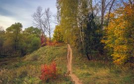 Стихи приметы сентября