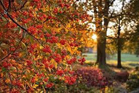 Стихи зима скоро