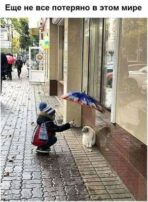 Стихи не все потеряно