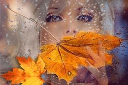 Стихи слёзы осени