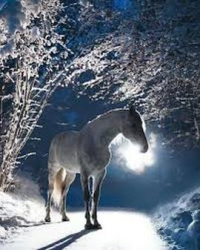 Цените мир стихи