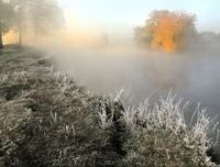 Пока жива надежда стихи
