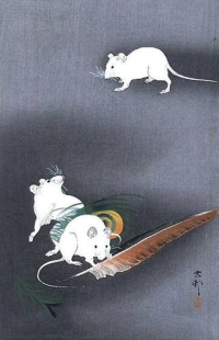 Стихи о мышке короткие