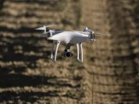 В грязь стихи