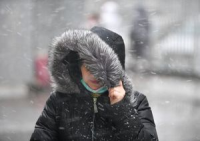 Стих дождались снега