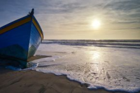 Везёт нам стих