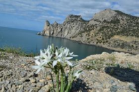 На краешке земли стих