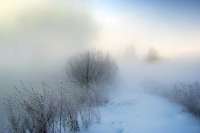 Сірий день вірш