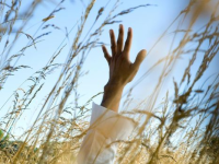 Радостный мир стихи