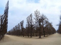 Стих команды