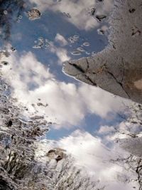 Стихи небо в лужах