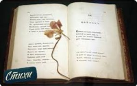 Цветок любви стихи