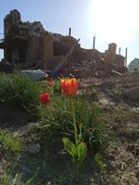 Май война стихи