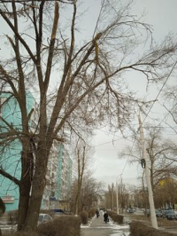 Сломана стих