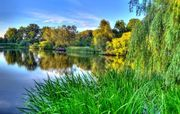 Зелёная роща стих