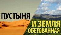 Стих про пустыню