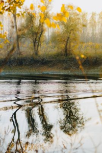 И снова грустно мне стихи