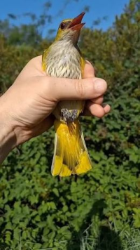 Стихи не запретишь