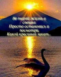 Жизнь есть стихи