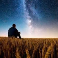 Звезда в поле стих